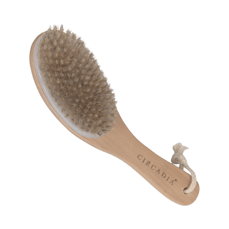 Circadia Body Brush